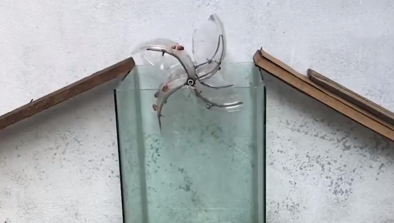 谁发明的捕兽装置?老鼠不知不觉就绕进去了,研发界的天才!