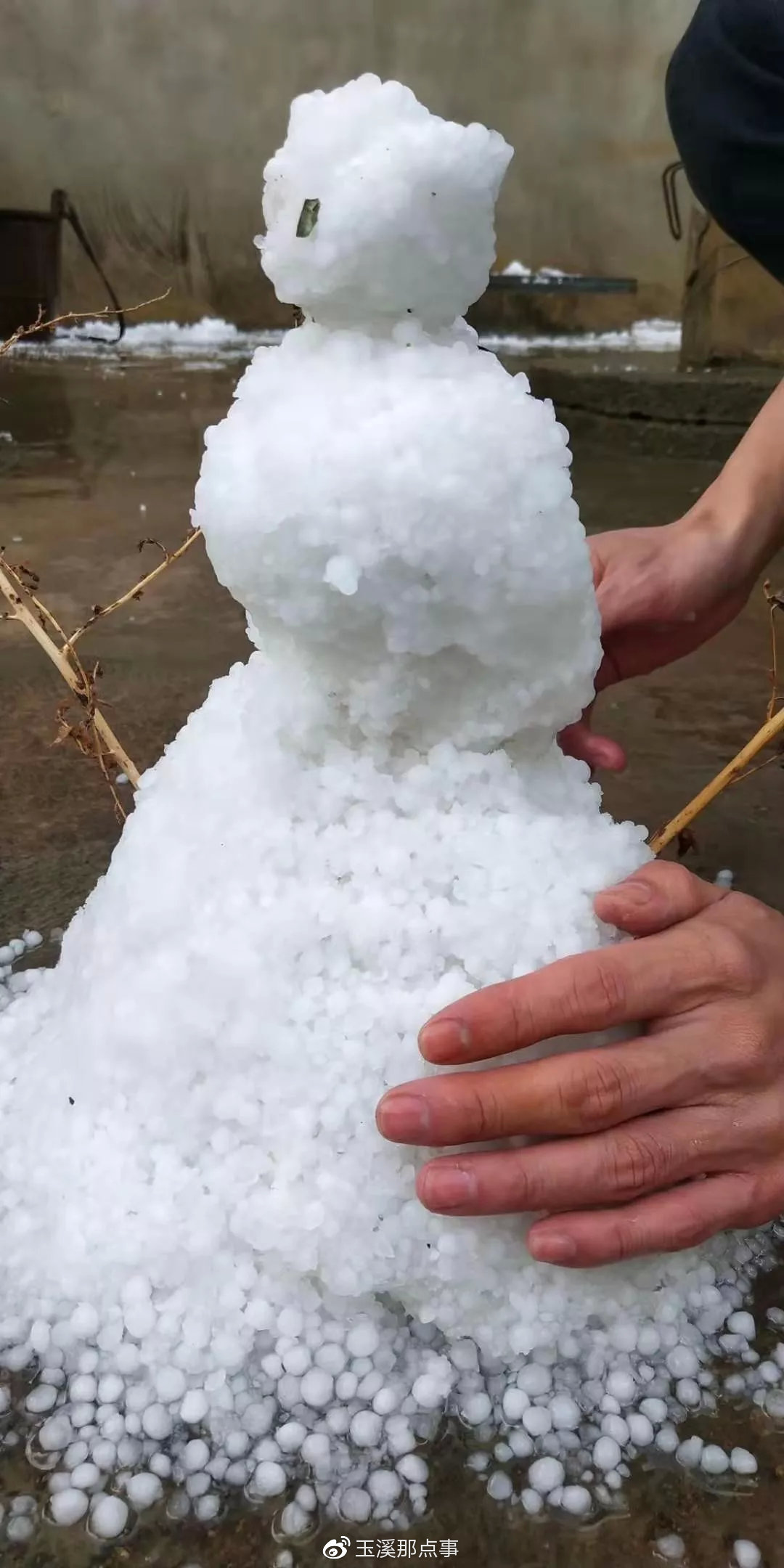 狂风呼啸刚才玉溪下起豆大一样的冰雹雨