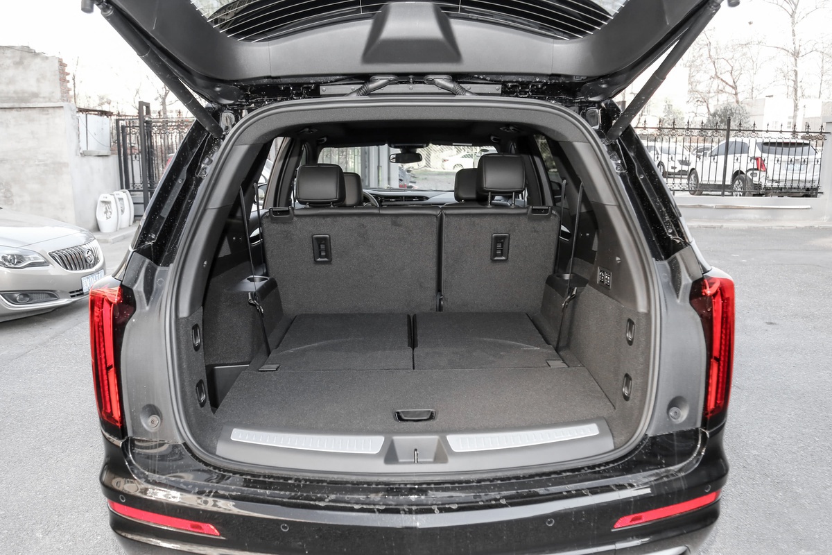 钟意她！2019年「萝卜报告」各位老湿心目中的年度车！