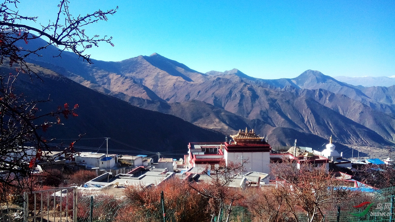 波齐|雄色寺|寺庙_新浪新闻