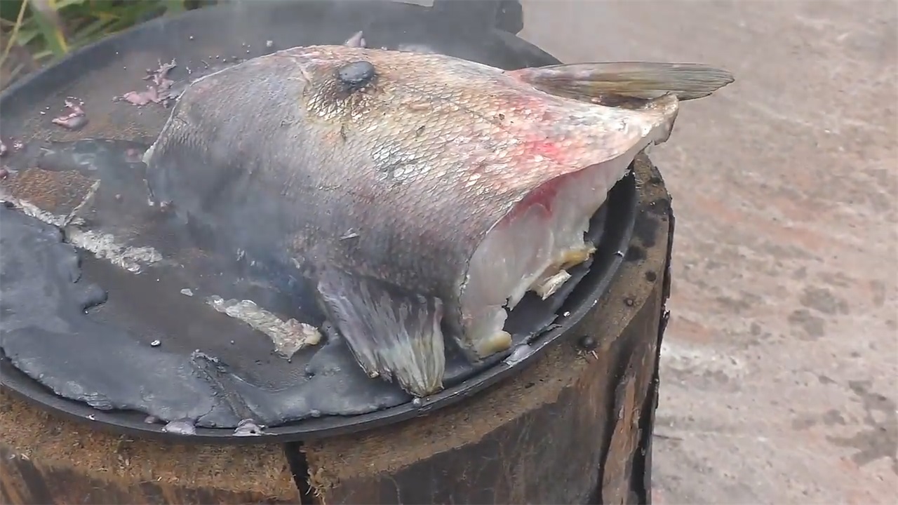 鱼|熔岩|外国_新浪新闻