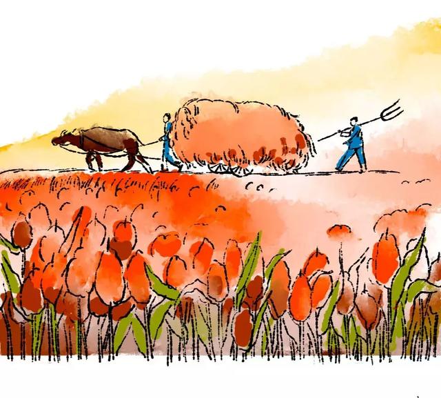 高粱|班图人|粮食_新浪新闻