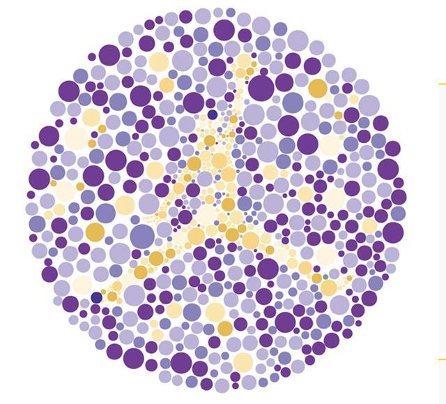 考驾照的5张色盲测试图,要是识别不出后2张,可以确定是色盲