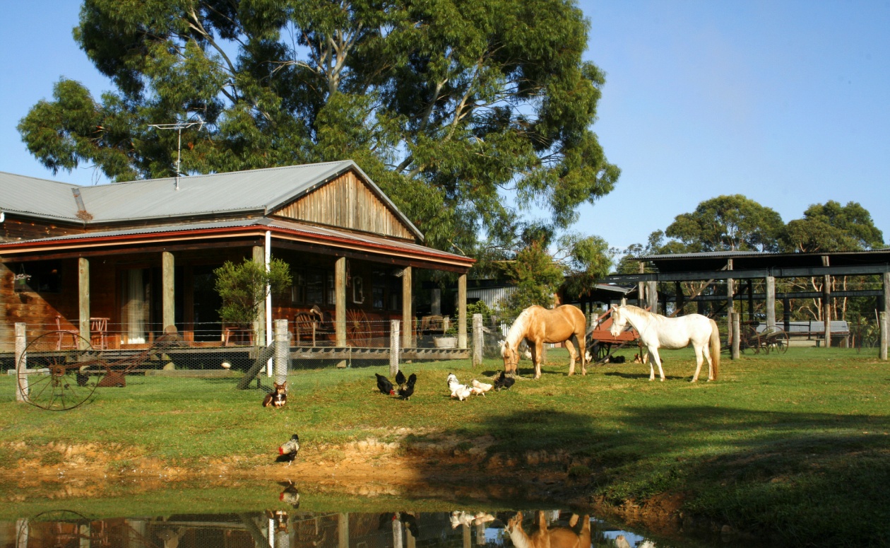 我在澳洲的"家"|澳洲|农庄|农场_新浪新闻