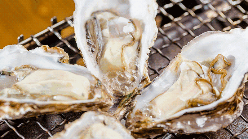 一起长点有用的吃生蚝小姿势博士生蚝乳山生蚝
