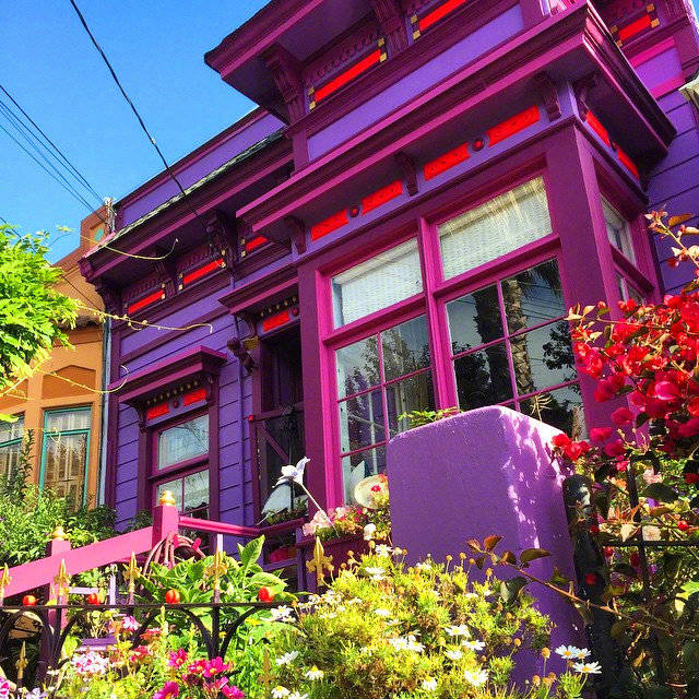 紫色小屋purplehouse