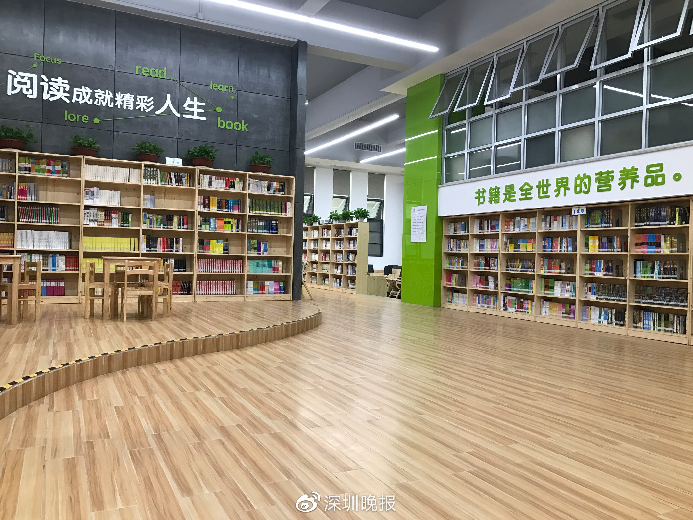 莉香学校荔枝小学南山外国语学校集团滨海小学2019最美校园图书馆学校