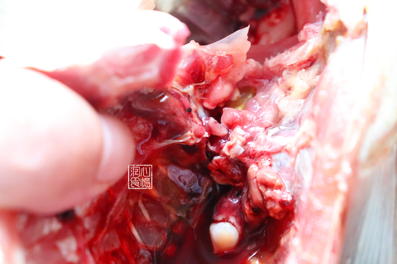 吸腥大法终被找到适用所有生鲜活鱼只需4步让鱼腥消失