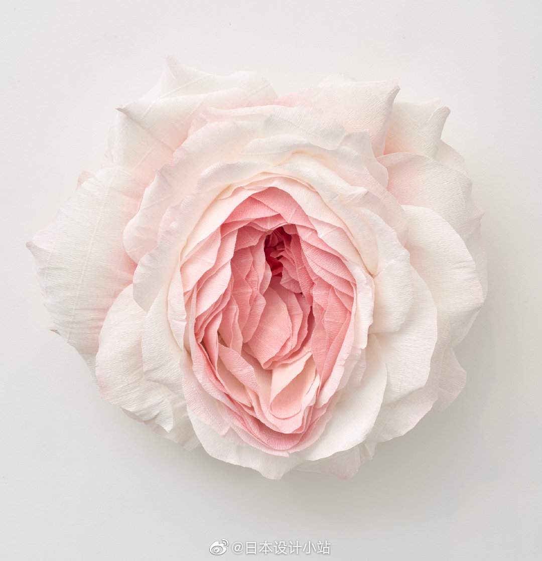 what befell us|个展|花朵|艺术家_新浪新闻