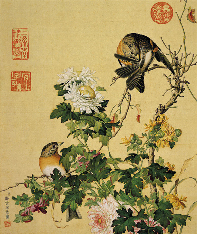 郎世宁《仙萼长春图册》,藏于台北故宫博物院