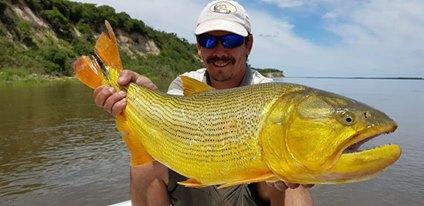 南美洲的黄金河虎鱼都泛滥了,中国钓鱼大军何时去剿灭它们?