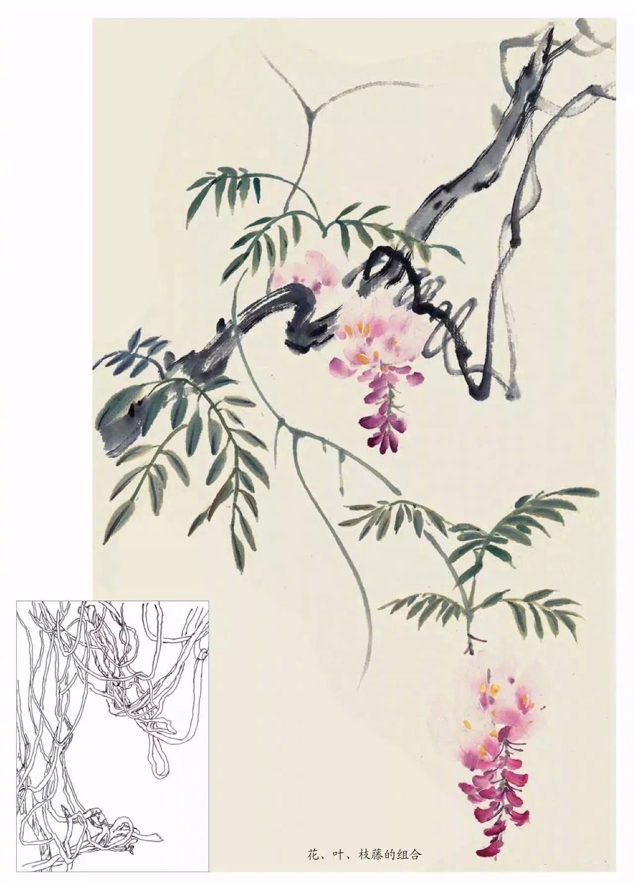 国画中各种花卉的画法,太全了!_高清图集_新浪网