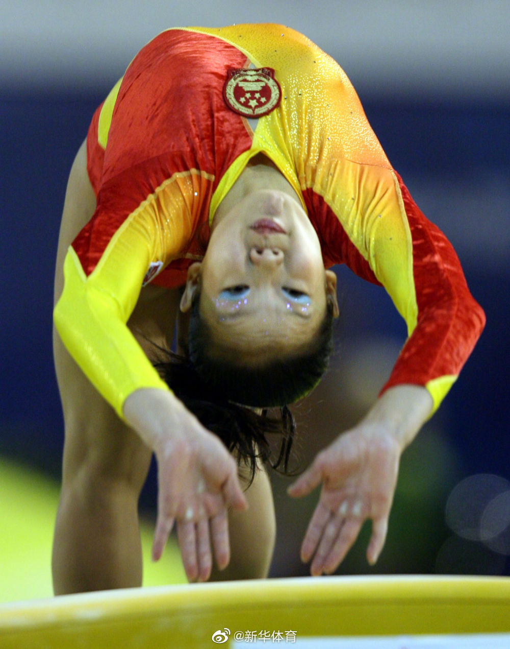 十一年后的她们