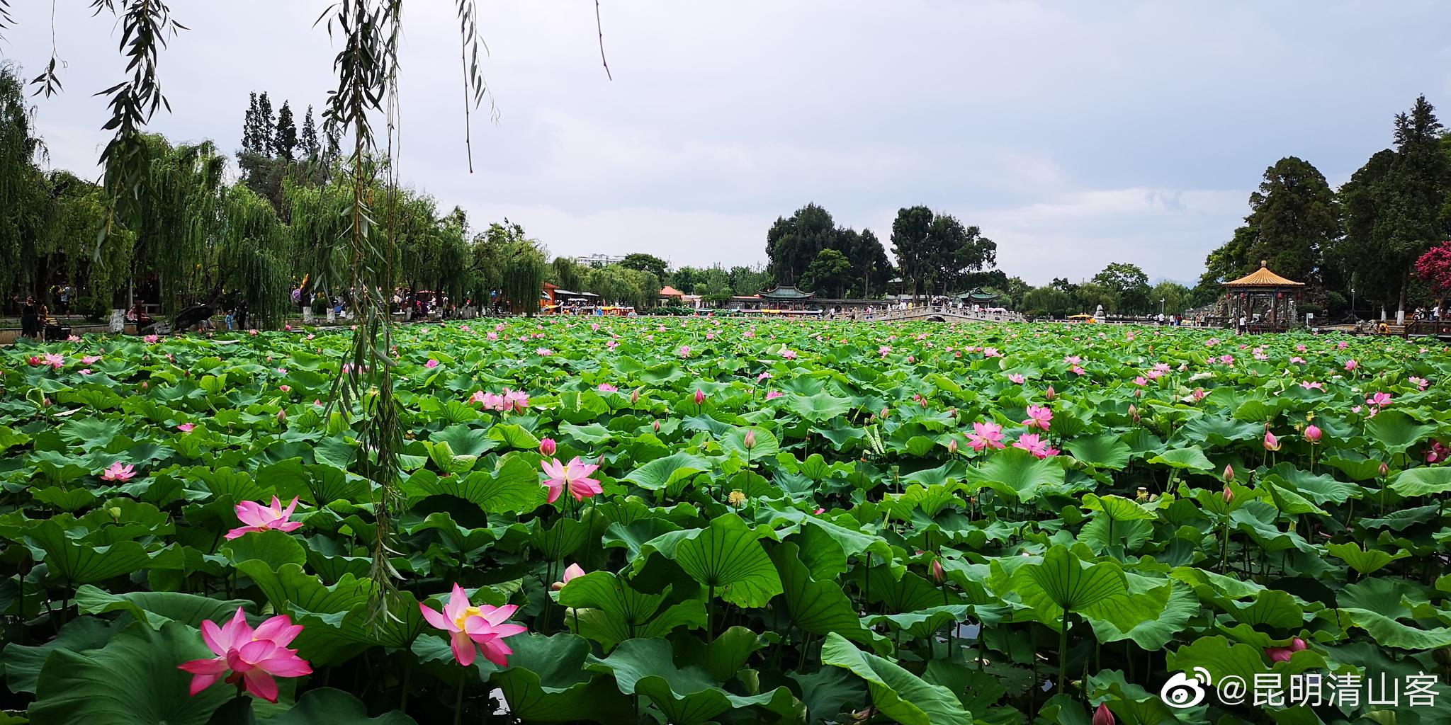 昆明大观楼风光@中国图库冯飞燕 @镜界 @一舟之旅 @玩家尔玛 @v美图美