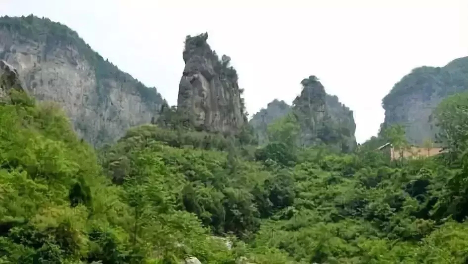 在河南,有人到死都走不出封门村|枕边有张脸|封门村|太师椅_新浪新闻
