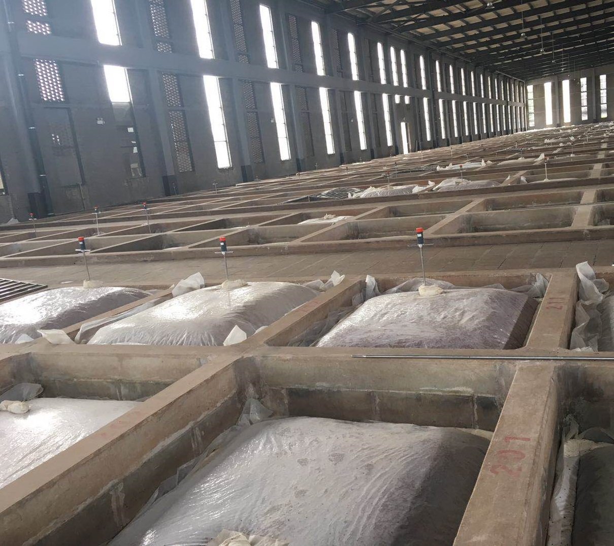 天气好,带你们逛酿酒厂,第一次看到真正的手工精酿车间