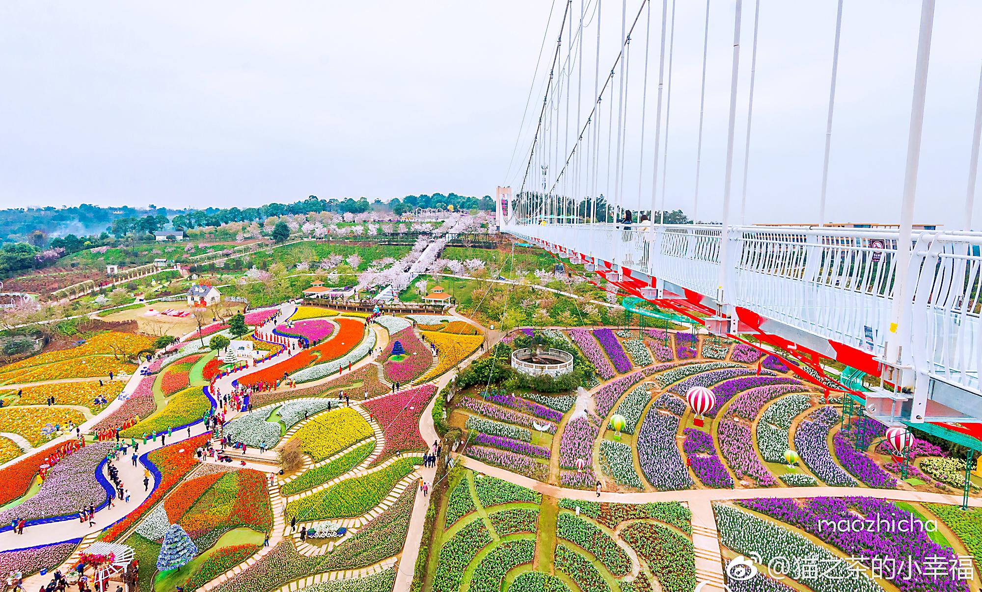 成都市区内首个7d玻璃桥来啦就在新都的漫花庄园内全长228米