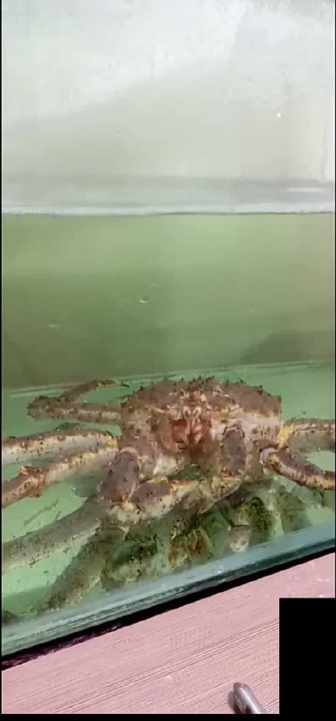 如今中国实力已远超日本,为何日本仍不怕中国