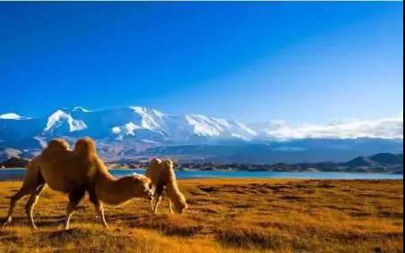 金星花18000买假手镯吃哑巴亏?旅游购物有风险,国庆出行需谨慎