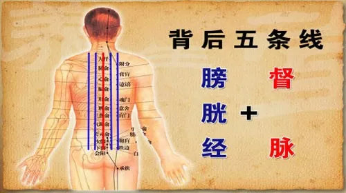 为什么女人艾灸背部,远比艾灸腹部重要?后悔才知道
