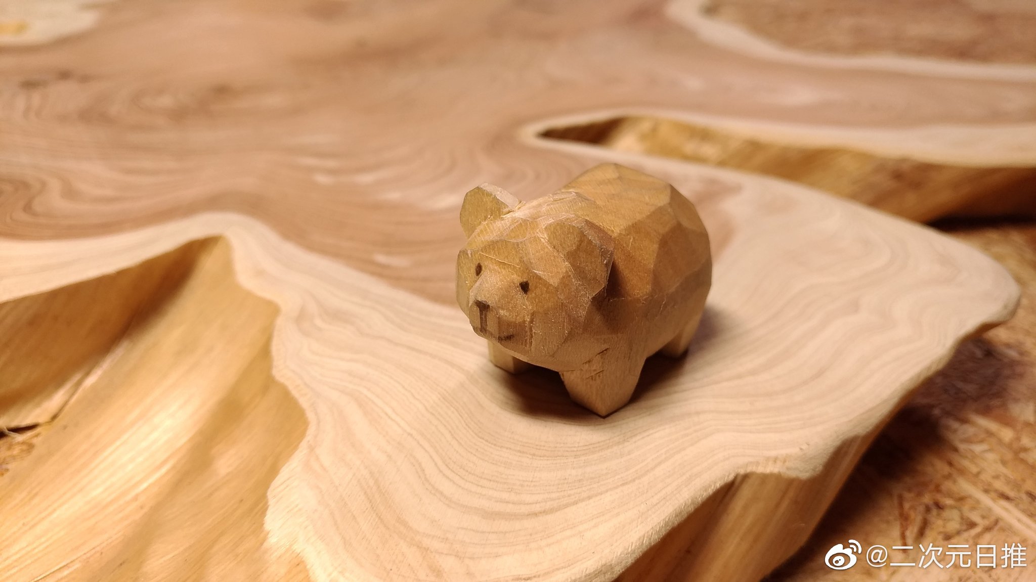 它是棕熊.小小的萌萌的