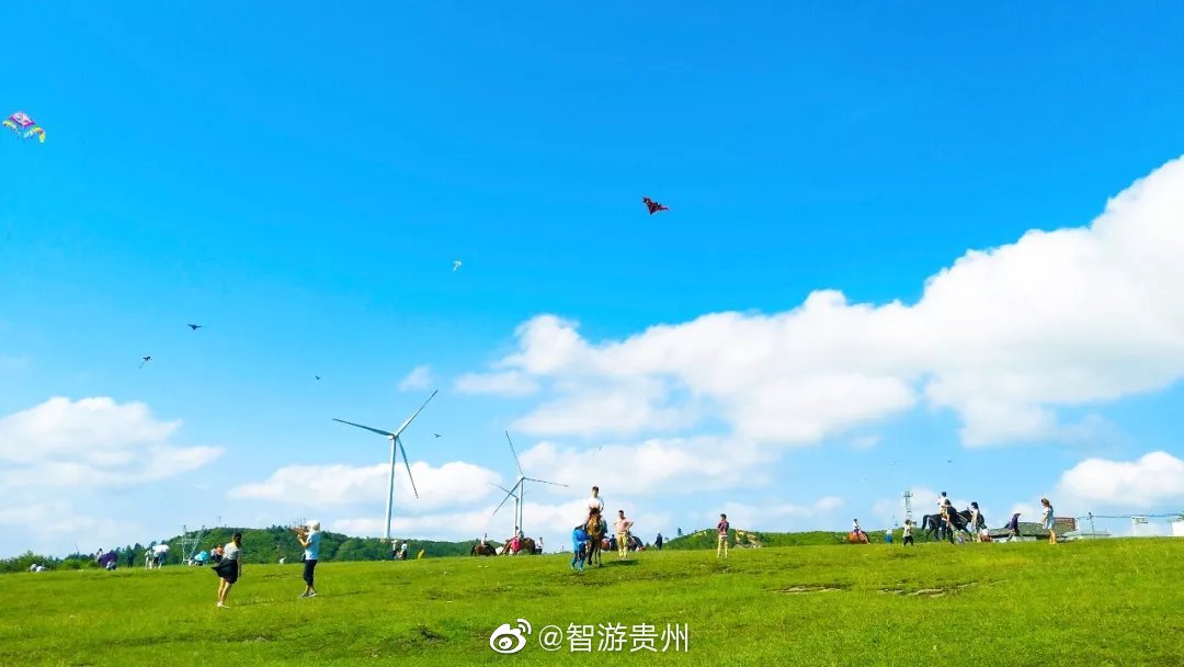 龙里大草原清凉辽阔悠远诗意当你来到草原时你会发现