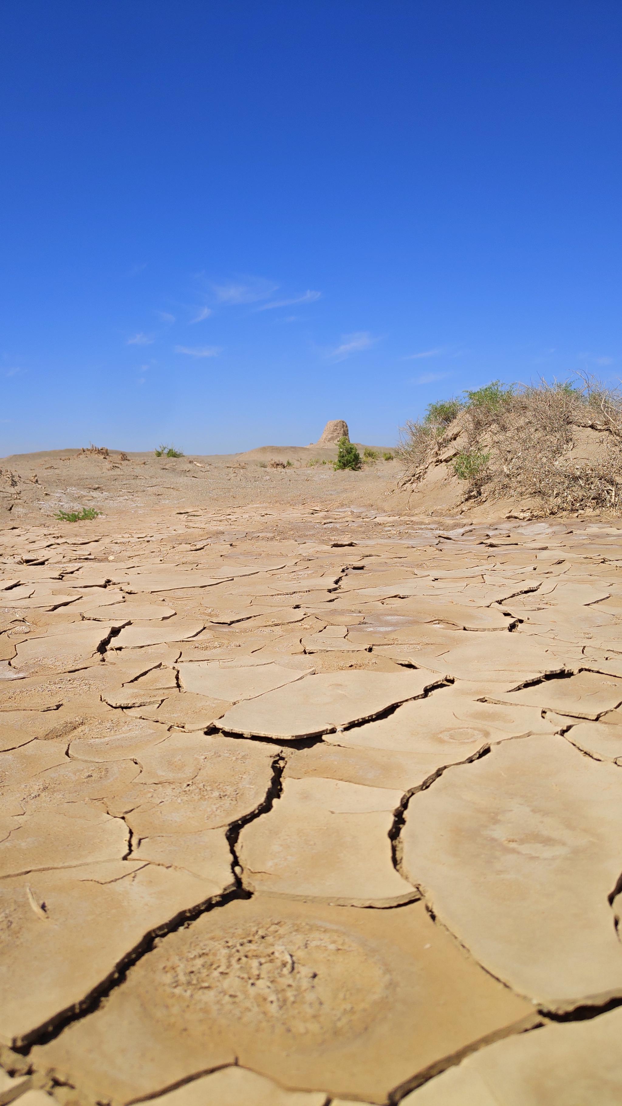 玉门关城迥且孤黄沙万里白草枯