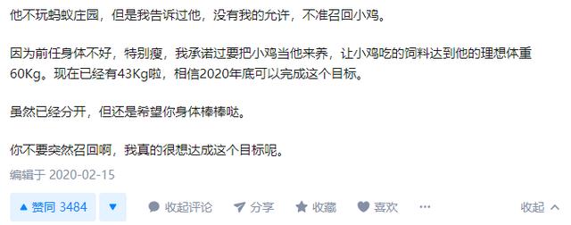 支付宝里的公益小游戏，成了舔狗暗恋的场所