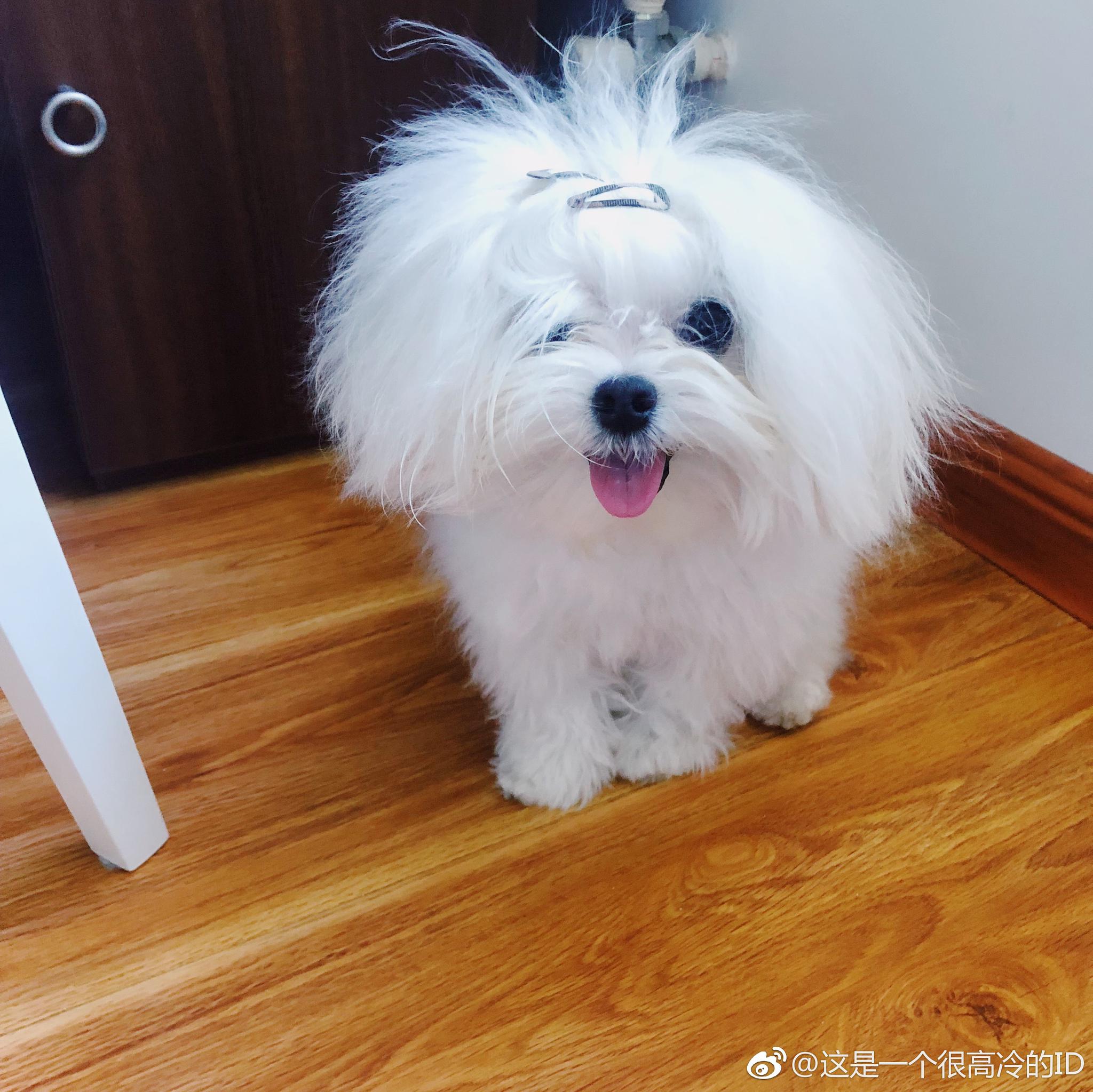 雪碧:"我是个没有感情的独眼汪"