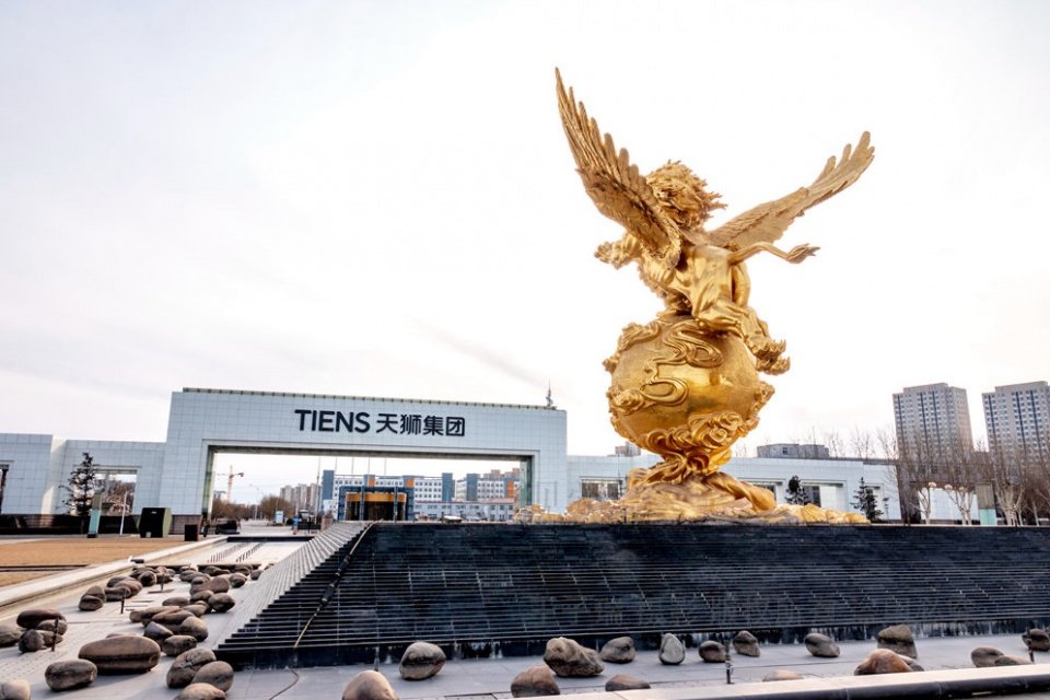 天津天狮集团:总部大门宽255米,据称是亚洲最大的企业大门!|整组|总部