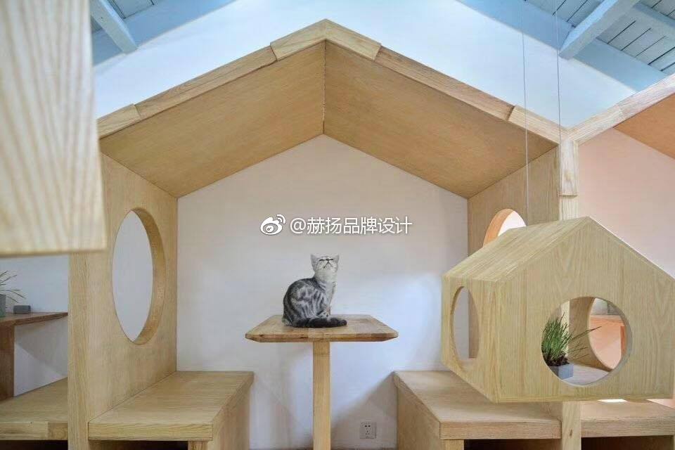 很可爱的猫舍设计