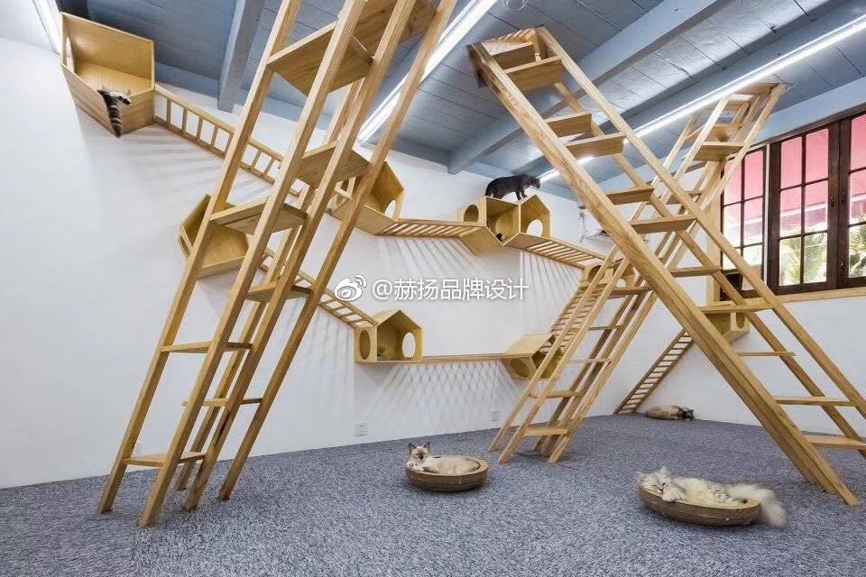 很可爱的猫舍设计