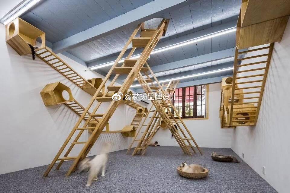 很可爱的猫舍设计