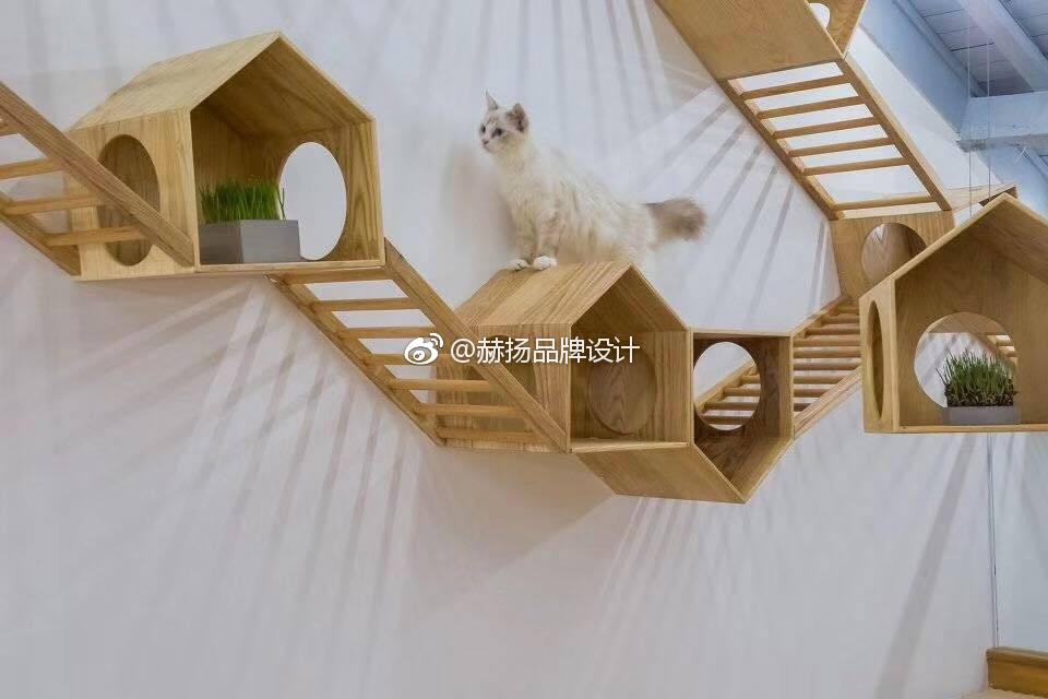 很可爱的猫舍设计