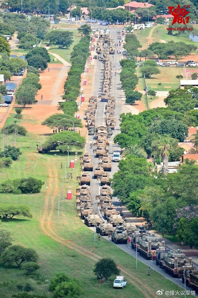 南非武装部队纪念日阅兵式