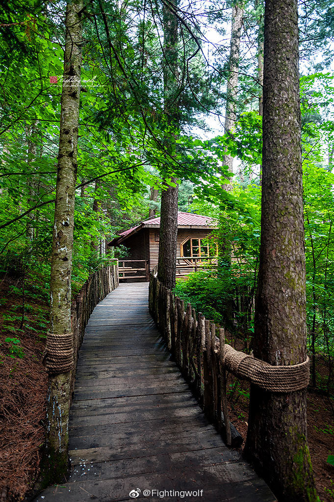 上甘岭溪水国家森林公园位于黑龙江省东北部,小兴安岭腹地