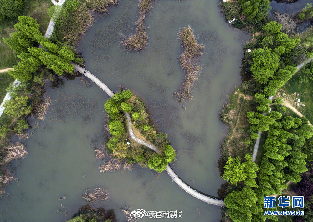 淮南市凤台县凤凰湖新区:新区昔日采煤沉陷区 如今城市新名片