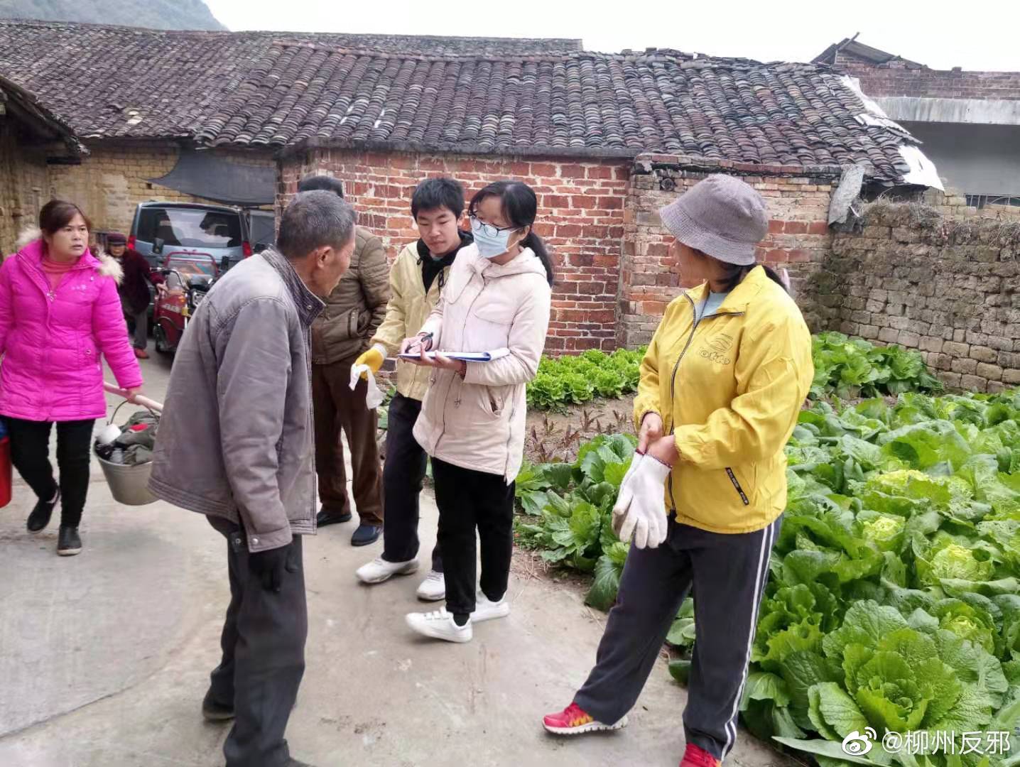 反邪| 柳州:柳城县马山镇利用下村处纠开展反邪教宣传教育活动