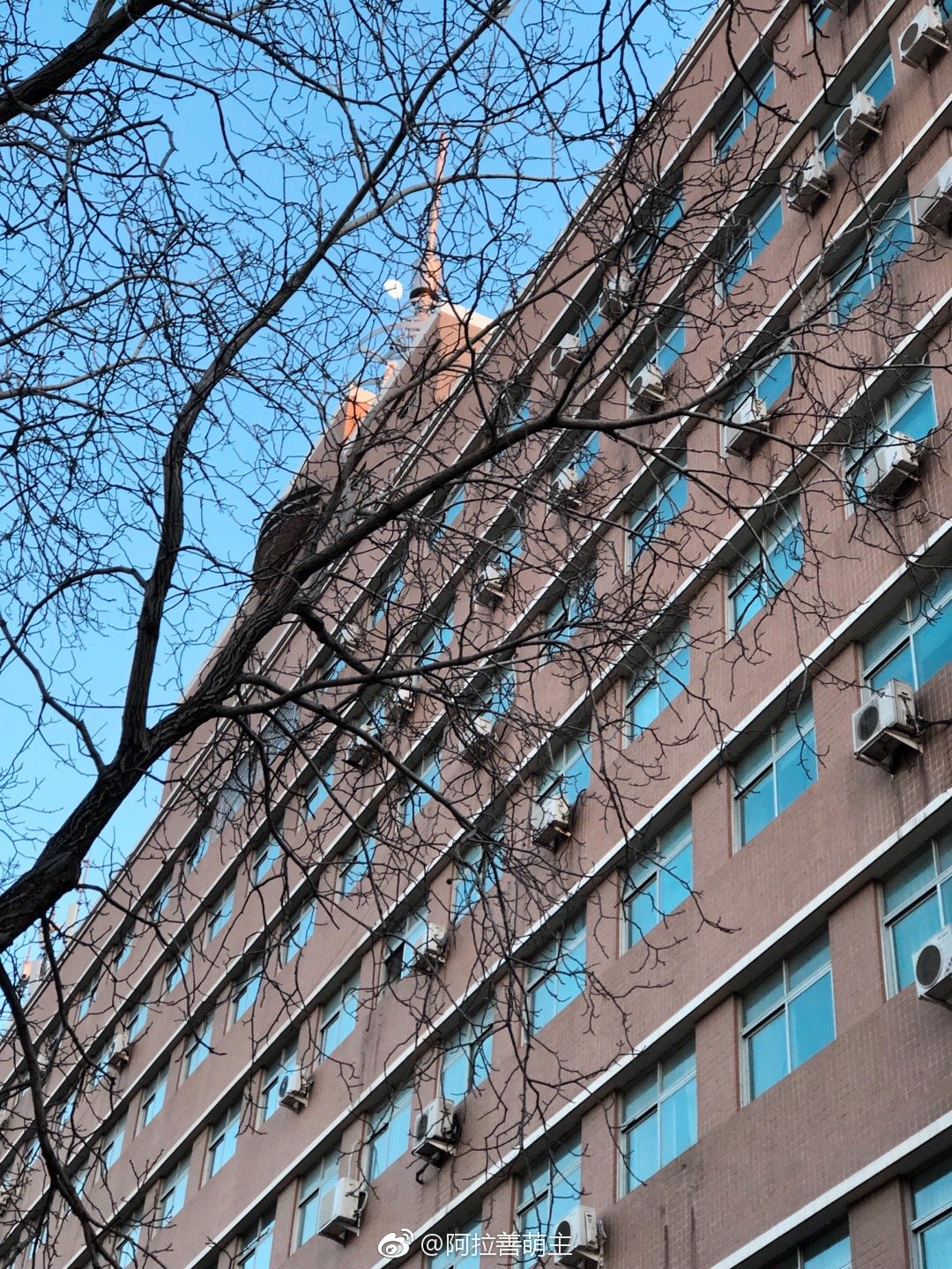 回母校时赶上中传艺考 年轻真好 上学真好 回母校时赶上中传艺考 年轻真好 上学真好
