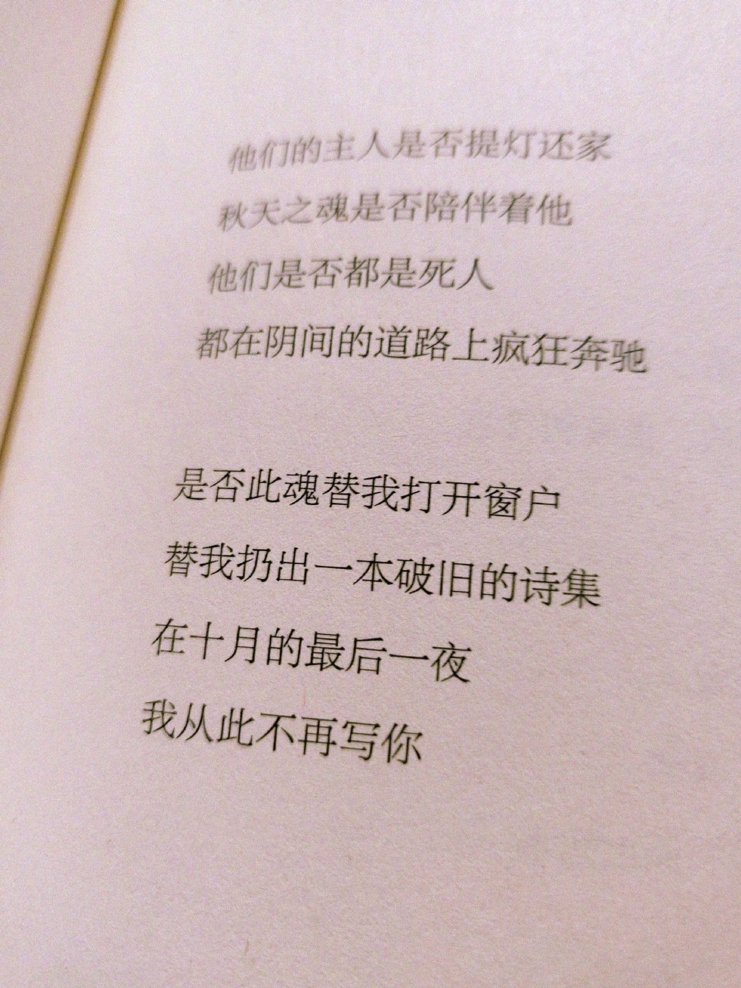 在没有下雨的下午,读海子的诗。