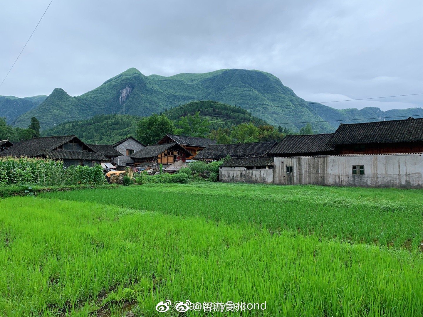 探访贵州最美乡村,中国土家族第一村——贵州铜仁云舍村