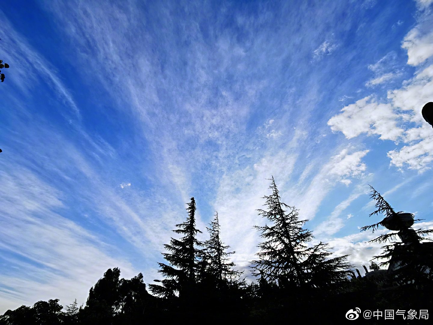 这种辐辏状卷云