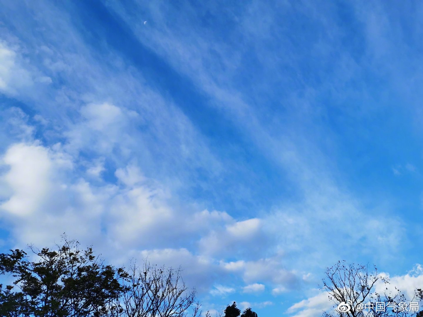 今晨,云像一束束光,向四方探照.这种辐辏状卷云
