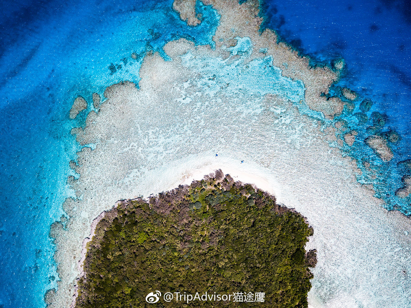 机酒全包双人游