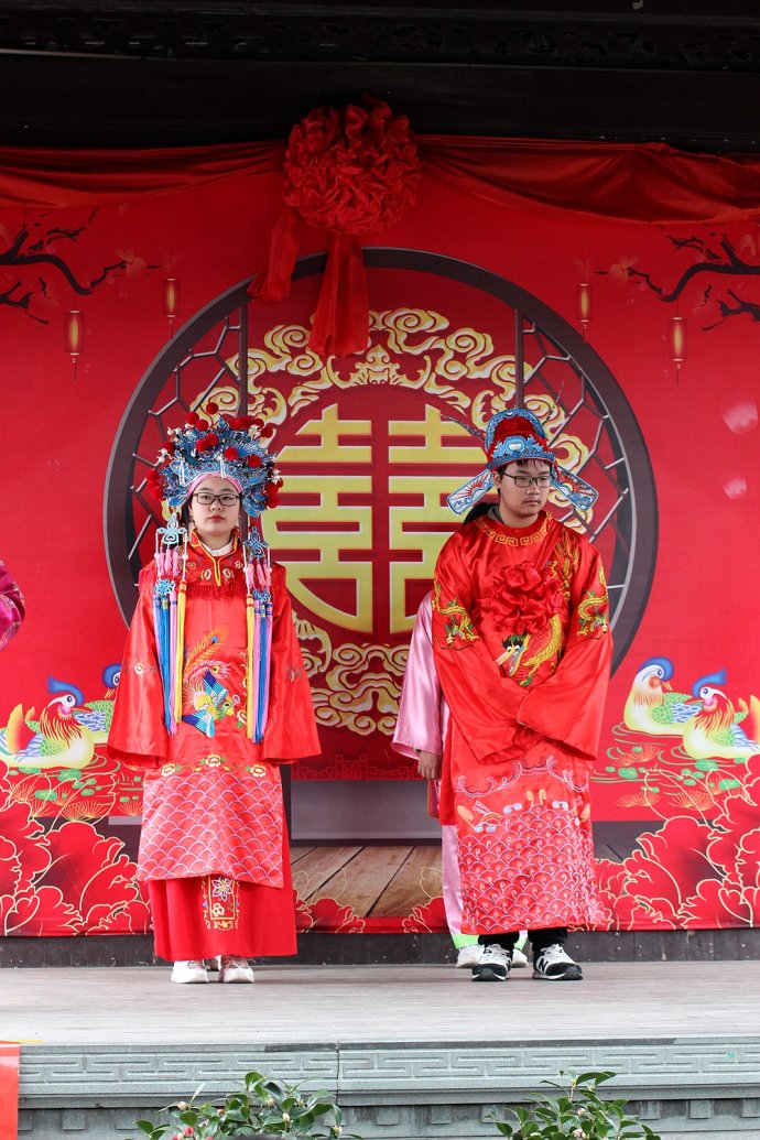 大年初一枫泾古镇上演了一场传统水乡婚典巡游