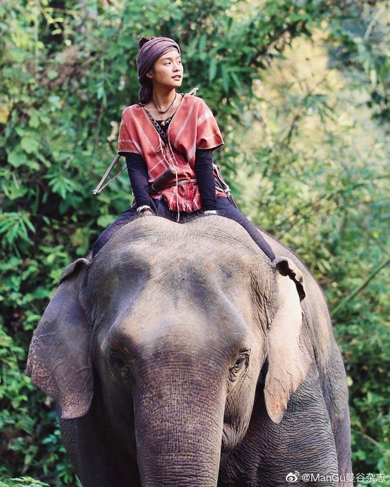 又有一部泰剧《丛林之花》出炉了