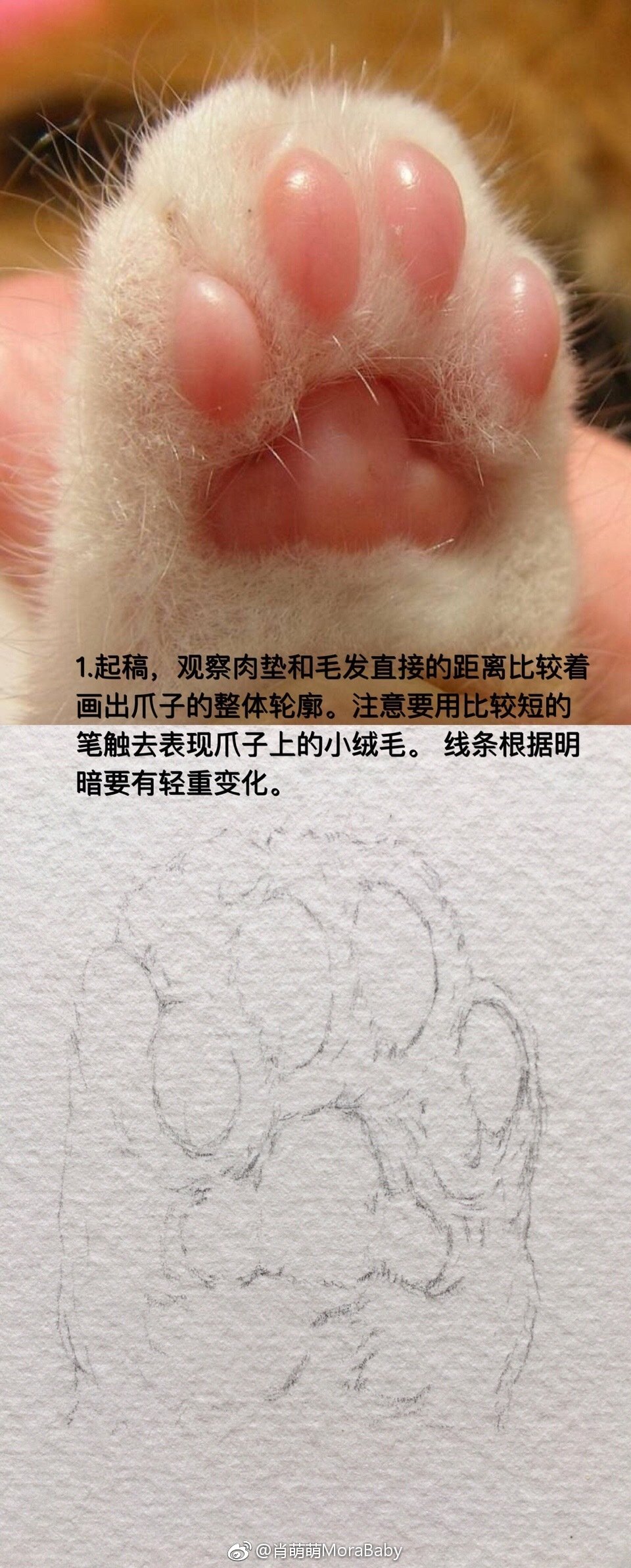 超萌猫爪教程,学会了自己画爪爪撸猫!@肖萌萌morababy