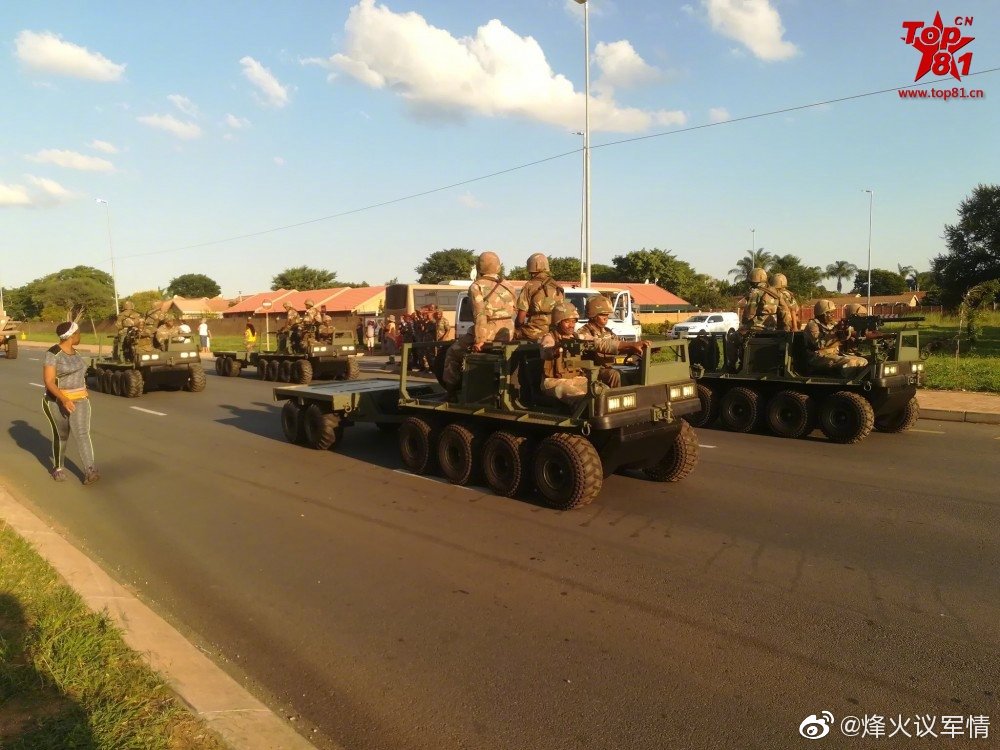 南非武装部队纪念日阅兵式
