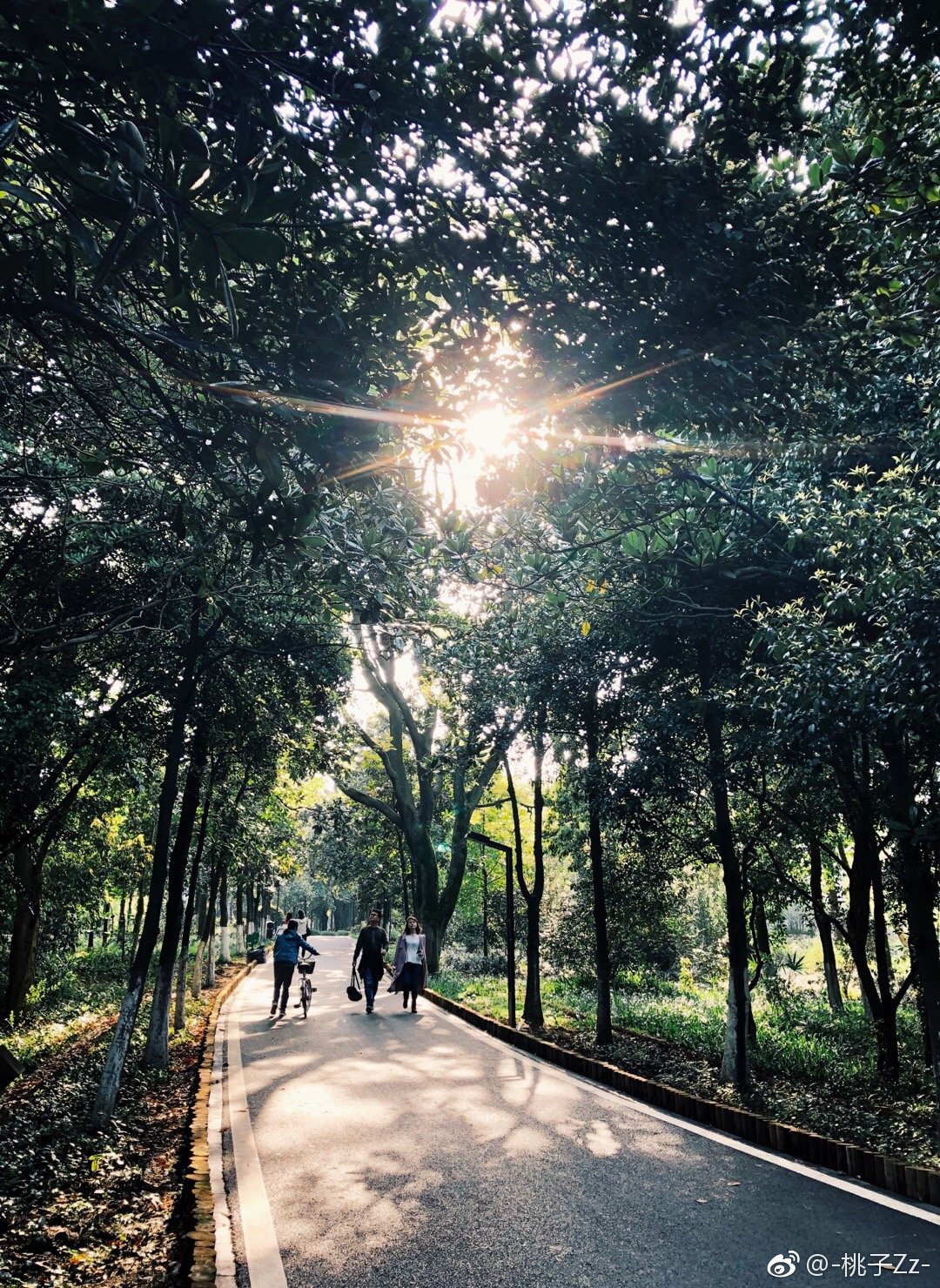 阳光好就该元气满满