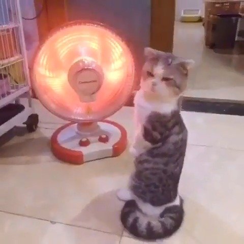 这么冷的天 谁还不长点本事啊